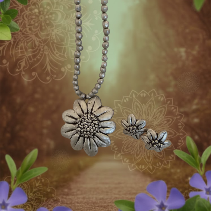 Nivéra Classic Set (2)