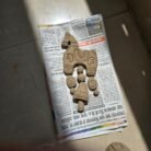 c0d2799c-d7dd-4da8-8861-c7362f0e0b2d